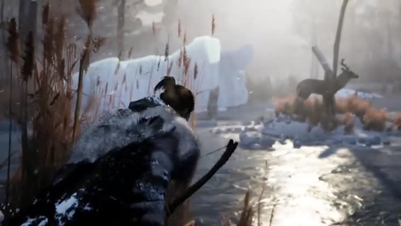 Fade to Silence early access release