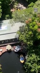 Australian Man Bungee Jumps in Wheelchair