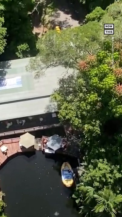 Australian Man Bungee Jumps in Wheelchair