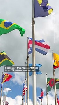 Can a Global Treaty End Plastic Pollution?