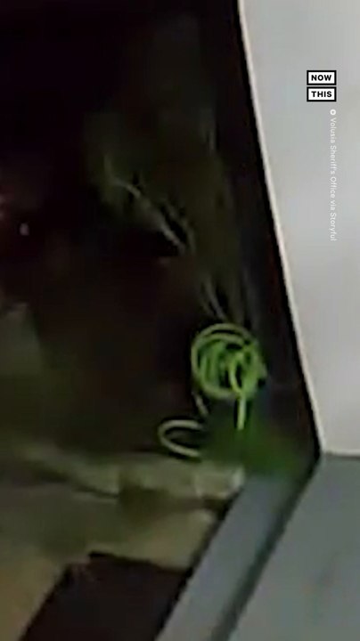 Naked Man in Florida Steals American Flag Off Stranger's Porch