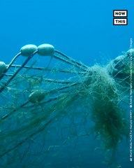 Startup Turns 'Ghost Gear' Into Sustainable Sunglasses | UpcycleThis