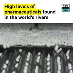 Researchers Find High Levels of Pharmaceuticals in Rivers Worldwide