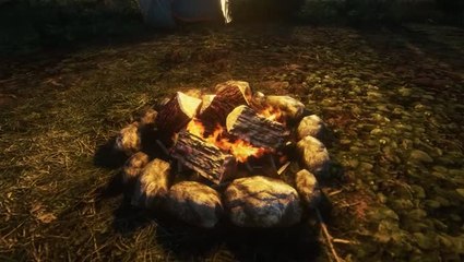 Survive The Nights Trailer