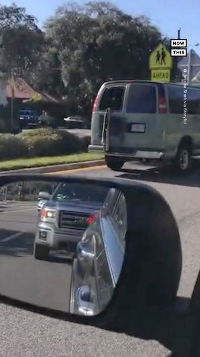 Zoo Handlers Corral Escaped Crocodile