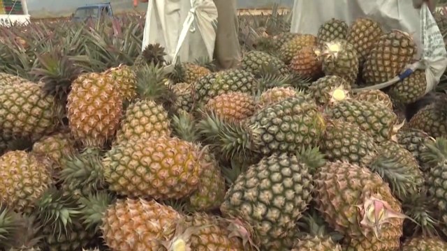 Piñas, aguacates y otros alimentos protagonistas de la geopolítica