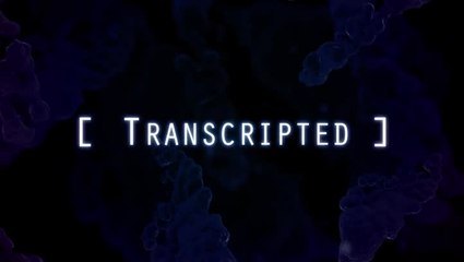 Transcripted : La version Playstation 4 se lance en vidéo