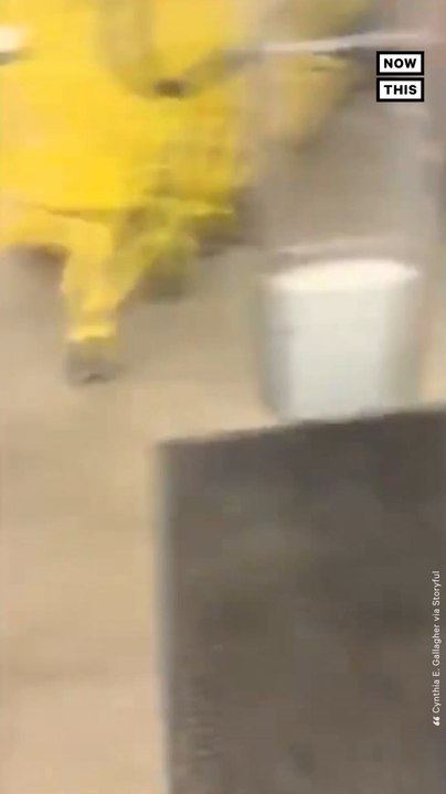 Deer Visits Missouri Dollar Store