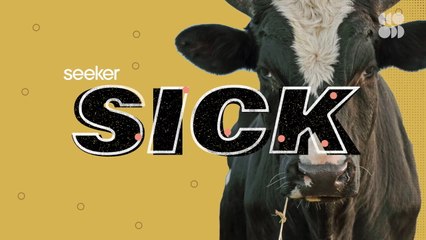 A Universal Vaccine May Be Closer Than You Think