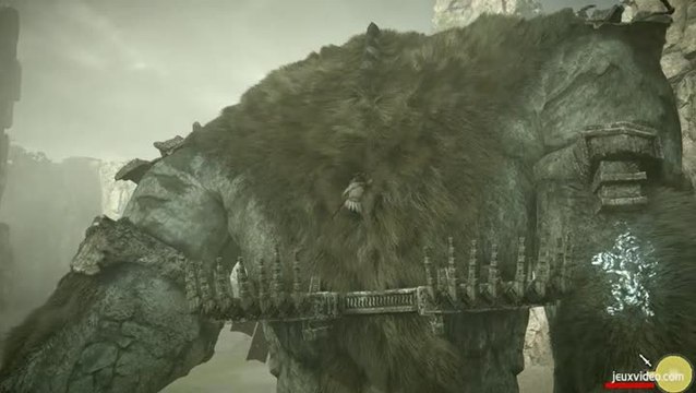 Shadow of the Colossus : Face à face titanesque en mode difficile