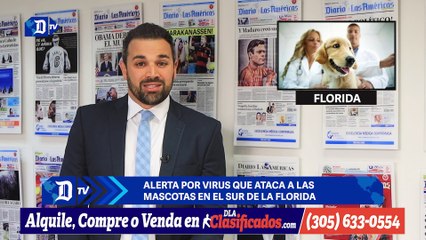 Alerta por virus que ataca a las mascotas en el sur de la Florida | Resumen semanal