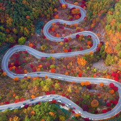 Thrillist Explorers: South Korea Foliage