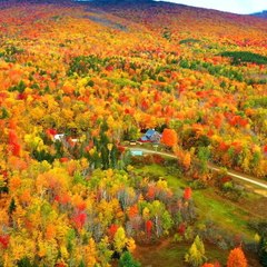 Thrillist Explorers: New England Fall Foliage