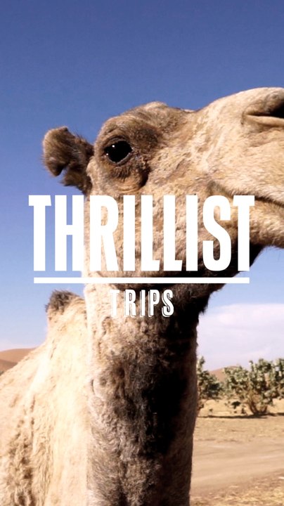 MARRAKESH Main Thrillist Trips - Mobile
