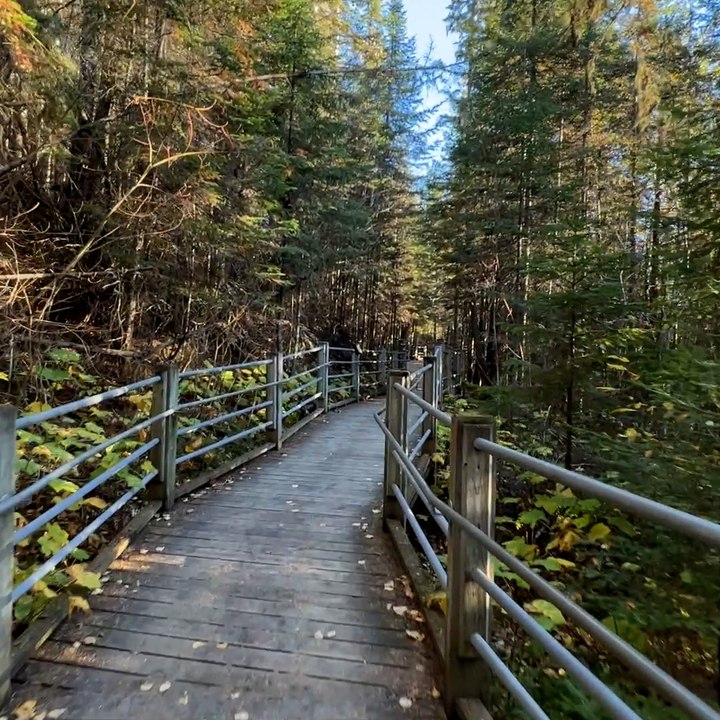Thrillist Explorers: North Shore