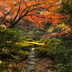 Thrillist Explorers: Autumn in Japan