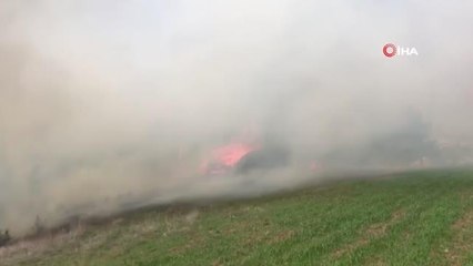 Son dakika haberi! Dağyenice'de orman yangını