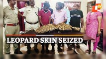 Leopard Skin Seized By Wildlife Officials; 7 Arrested