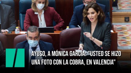 Ayuso, a Mónica García: "Usted se hizo una foto con la cobra, en Valencia"