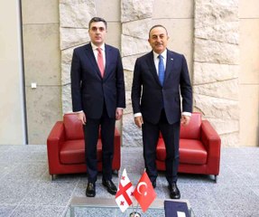 Son dakika haber: Bakan Çavuşoğlu, İngiliz mevkidaşı Truss ile görüştü