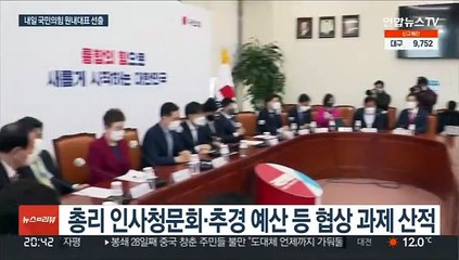 새 정부 '여당 원내대표' 내일 선출…'윤심' 영향 미칠까
