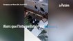 Chien abattu et bagarre avec la police : récit d'une scène de violence à Champigny-sur-Marne