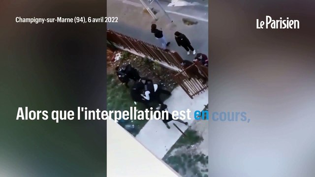 Chien abattu et bagarre avec la police : récit d'une scène de violence à Champigny-sur-Marne