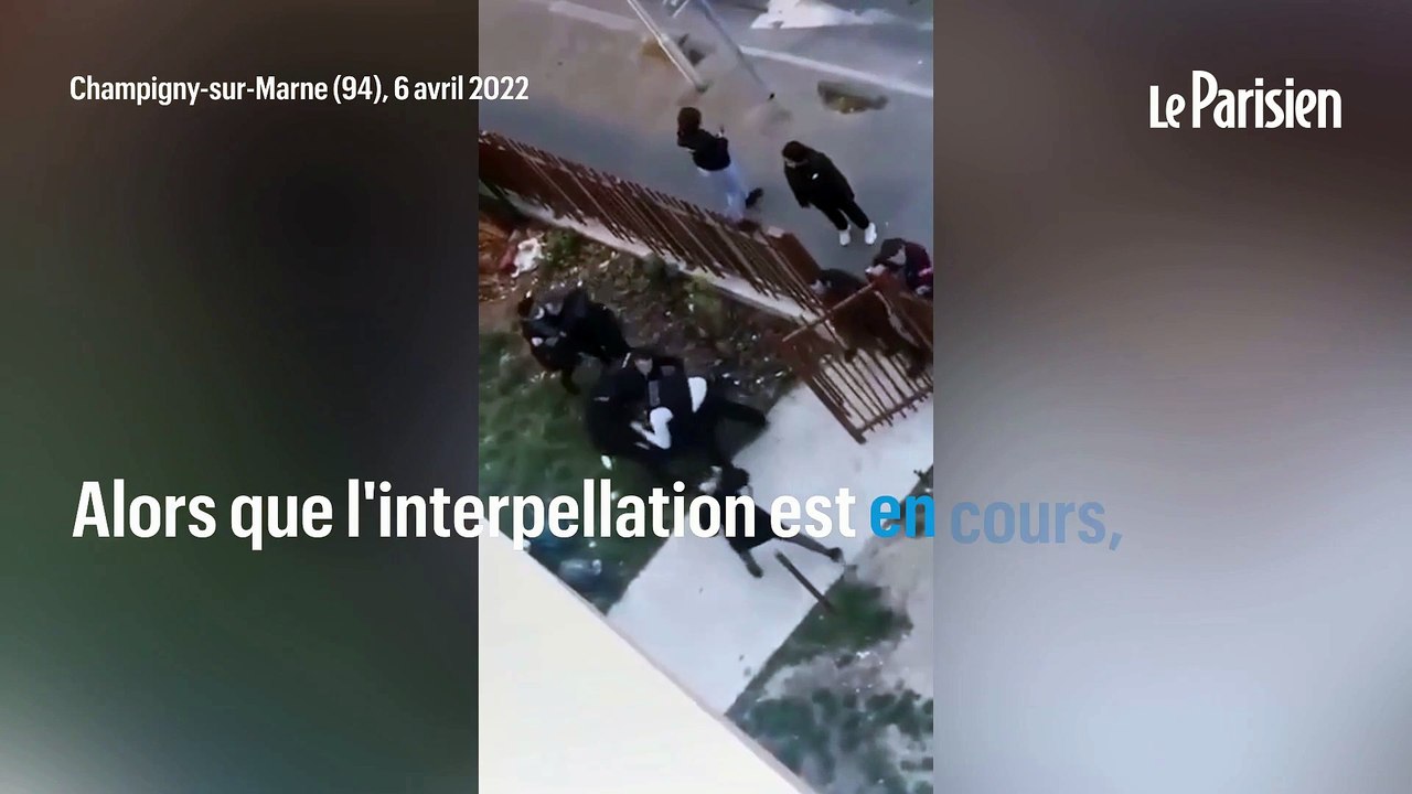 Chien abattu et bagarre avec la police : récit d'une scène de violence à Champigny-sur-Marne