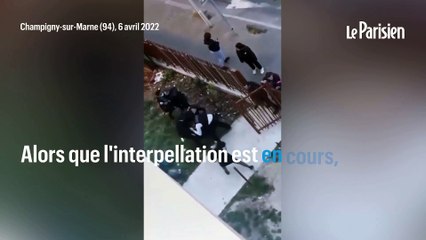 Chien abattu et bagarre avec la police : récit d'une scène de violence à Champigny-sur-Marne