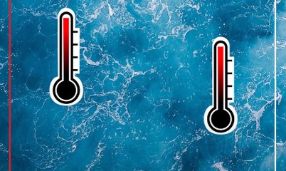 Quels plans d'action pour protéger nos océans ?