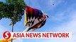 Vietnam News | Kite flying season in Ho Chi Minh City