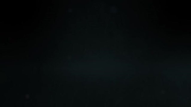 Dofus : L'Ebène débarque dans le jeu !