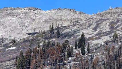 Western water restrictions expected as snowpack vanishes
