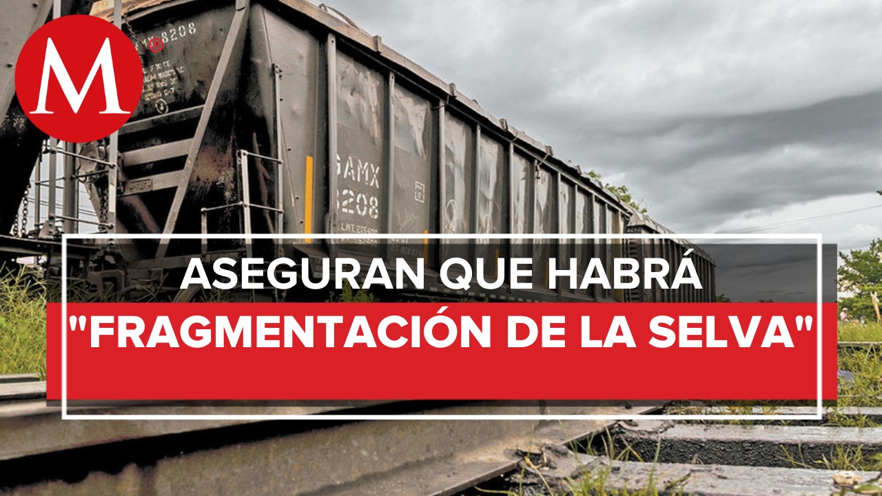 Ambientalistas refieren que el tramo 5 Sur del Tren Maya causará daño irreversible