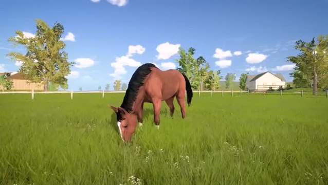 My Little Riding Champion : le cheval c'est trop génial