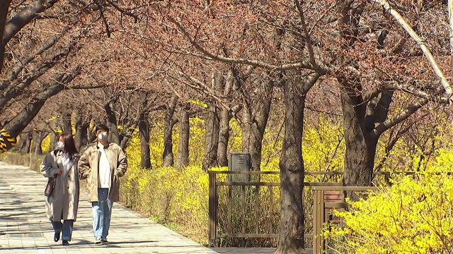 완연한 봄날씨에 나들이 인파 '북적'... 마스크 벗고 놀고 싶어요 / YTN