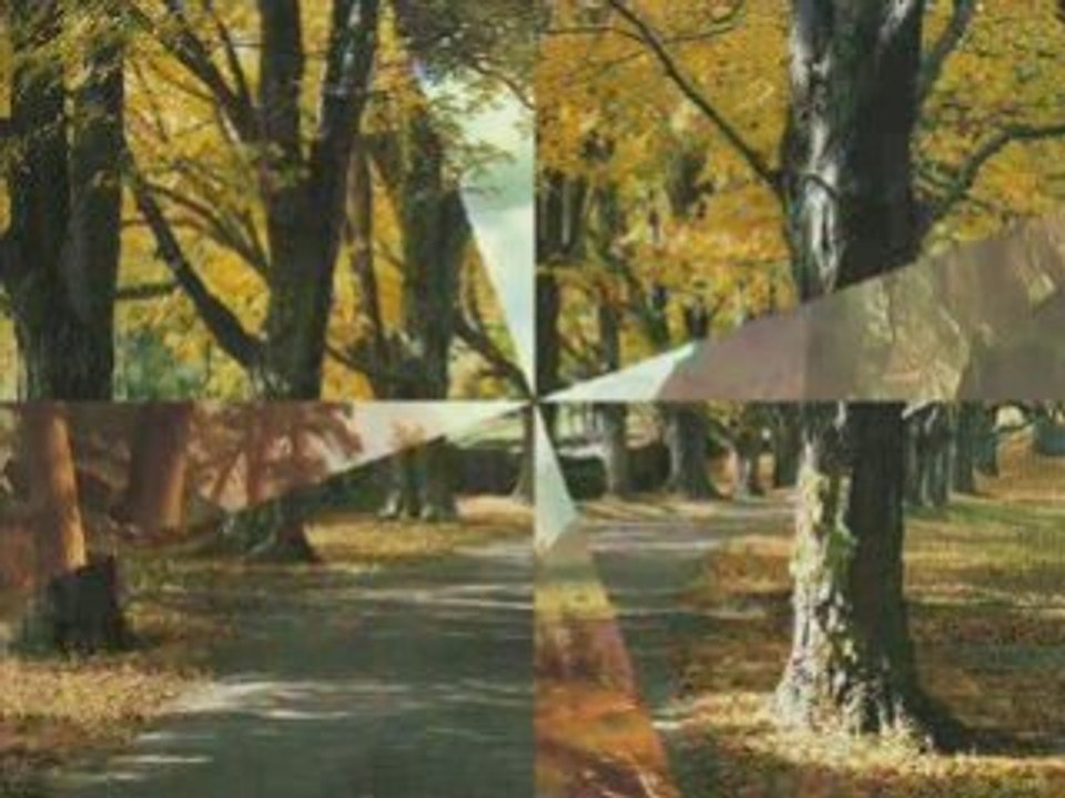 Le coeur fais la raison