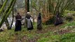 Outlander Exclusive Clip: Brianna, Malva, Marsali & Lizzie Go on A Mission