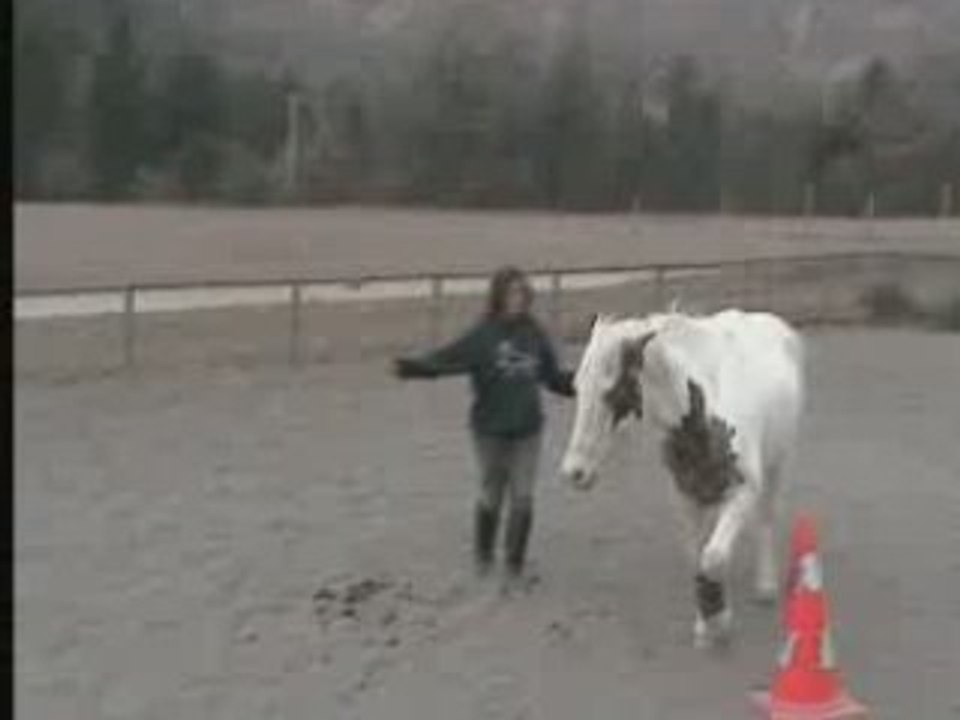 jeux du cercle en lib au trot