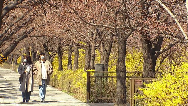 완연한 봄 날씨, 가벼워진 옷차림...나들이 인파 '북적' / YTN