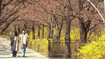 완연한 봄 날씨, 가벼워진 옷차림...나들이 인파 '북적' / YTN