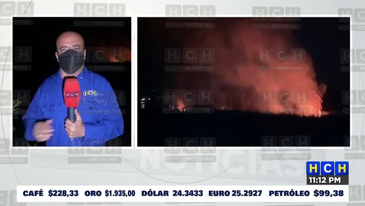 ÚLTIMO MOMENTO | ¡Se incendian los humedales del #LagodeYojoa! destruyendo el hábitat de muchas especies de aves