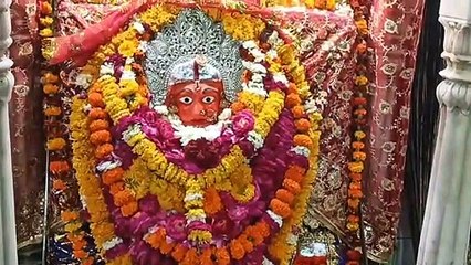 भरतपुर: मां राजराजेश्वरी के दर्शन
