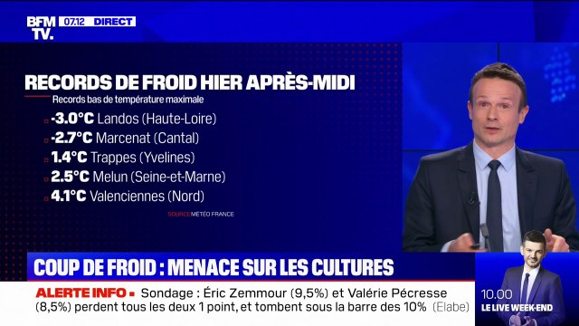 Un an après le gel dévastateur, la vague de froid menace les vignerons et arboriculteurs