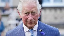 Prince Charles tipped to 'distance semi-detached' working royals in shake-up under reign