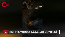 Bursa'da lodosun etkisiyle ağaçlar araçların üzerine devrildi
