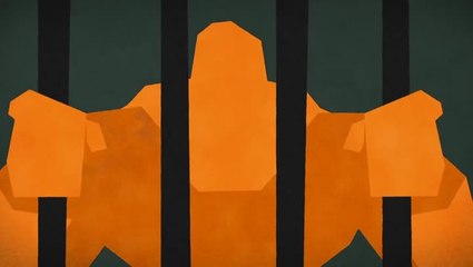 Ape Out - La liberté a un prix