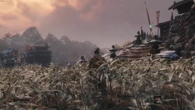 Sekiro Shadows Die Twice : mod HUD