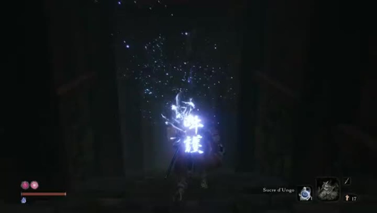 Sekiro Shadows Die Twice : dame papillon