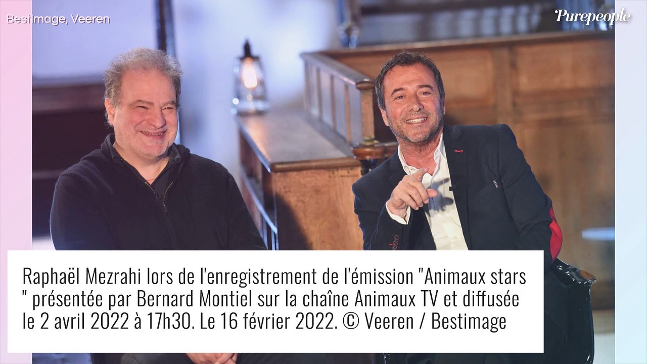 Raphaël Mezrahi : Rencontre féline dans Animaux Stars avant un moment privilégié avec Diane Leyre